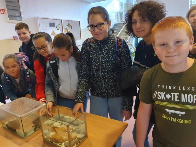 386881301_1375686499690225_8203070097940231326_n (1).jpg